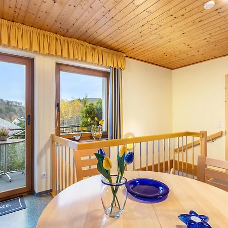 Apartmán Haus Stanek Willingen (Upland)