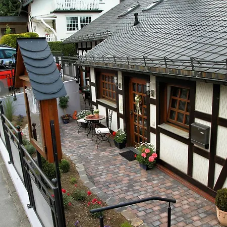 Haus Stanek * ヴィリンゲン